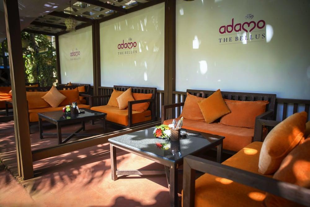Adamo The Bellus 4*