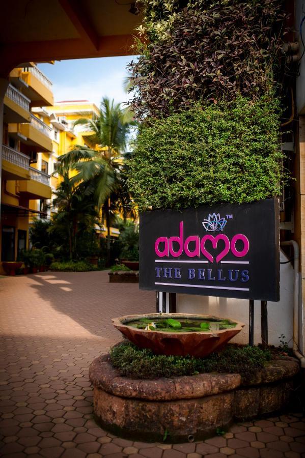 Adamo The Bellus 4* Calangute